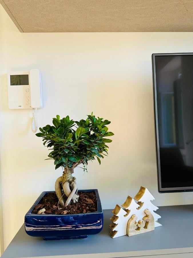 Alocasia Luxury Stay ساليرنو المظهر الخارجي الصورة